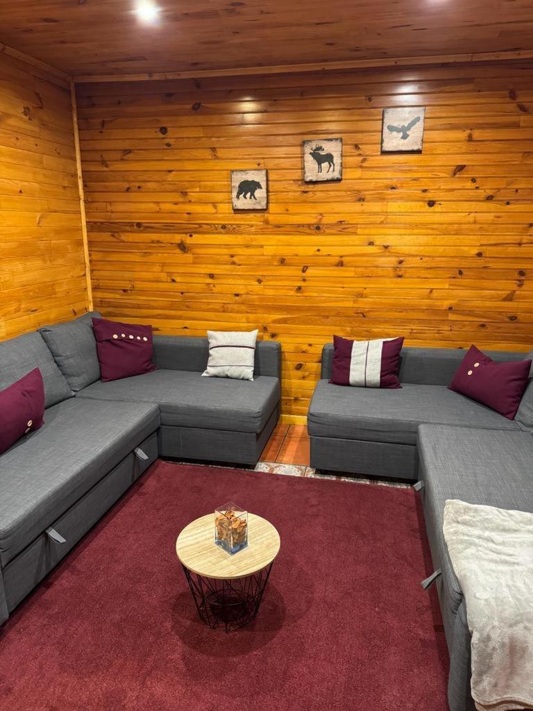 Mountain Lodge T3 Duplex Abrigo Do Lobo コビリャン エクステリア 写真
