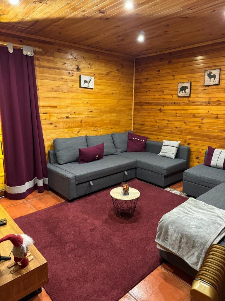 Mountain Lodge T3 Duplex Abrigo Do Lobo コビリャン エクステリア 写真